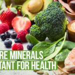 why mineral are important for health